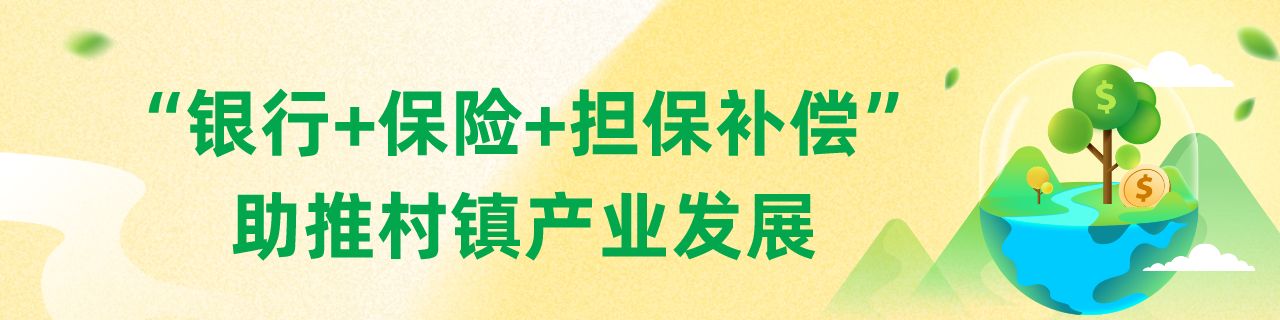 汕头不断构建“村村通政务、户户通金融”格局延伸金融服务半径(图4)