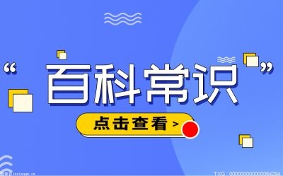 天博体育官网入口托管公司是什么意思？托管公司有哪些职能？