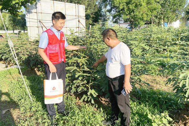 天博体育官网入口嘉祥农商银行：金融“活水”助力结出“致富果”