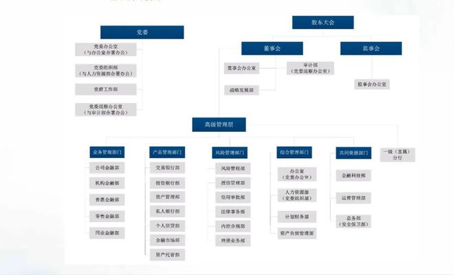 天博体育官方平台入口111家头部金融机构（银行、券商、保险）信息科技组织架构盘点(图8)