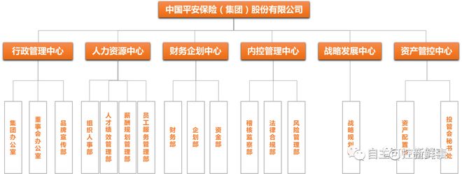 天博体育官方平台入口111家头部金融机构（银行、券商、保险）信息科技组织架构盘点(图25)